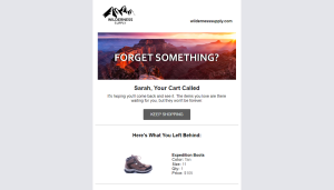 Abandoned Cart Email Thumbnail