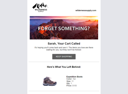 Abandoned Cart Email Thumbnail
