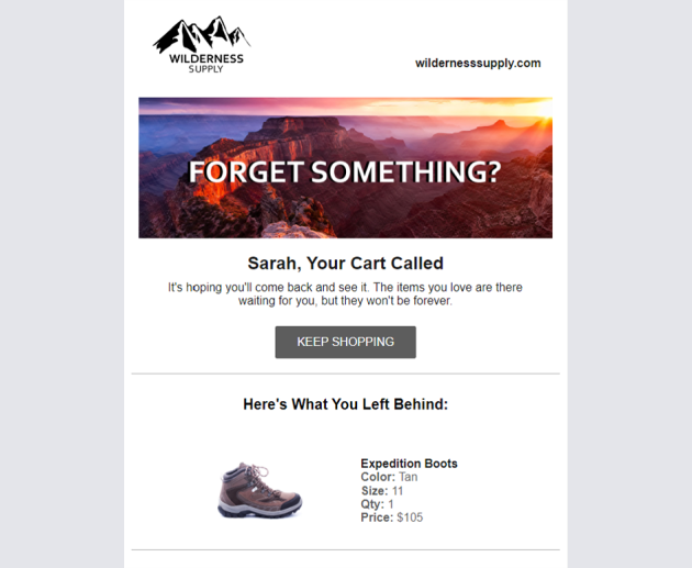 Abandoned Cart Email Thumbnail