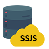 SSJS Logo